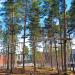 Flowpark Tampere (fi) in Tampere city