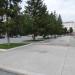 Ели в городе Курган