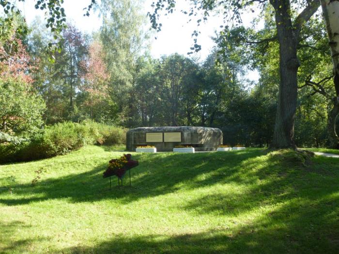 Pillbox Saint Petersburg