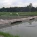 Pontoon Bridge (en) in Lungsod Marikina city