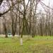 Бассейн с фонтаном в городе Константиновка
