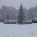 Хоккейная коробка в городе Бор