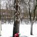 Дерево с образом Богоматери в городе Саранск