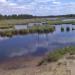 Заболоченная местность в городе Нижний Новгород