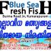 BlueSea in Thiruvananthapuram city