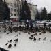 Сквер Ниловского в городе Тверь