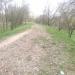 Заброшенная железнодорожная насыпь в городе Минск