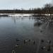 Остров в городе Гатчина