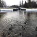 Гатчинский водопад в городе Гатчина