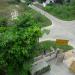 Delta 3 in Greater Noida city