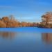 Attenborough Nature Reserve