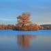 Attenborough Nature Reserve