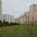 Плодовый сад в городе Красногорск