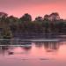 Attenborough Nature Reserve