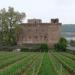 Brömserburg Castle