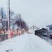Газон в місті Житомир