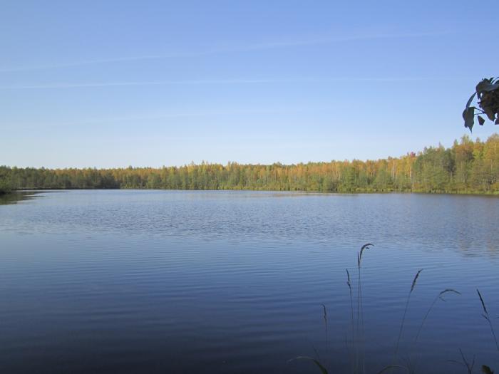 Озеро глухое Новосибирск