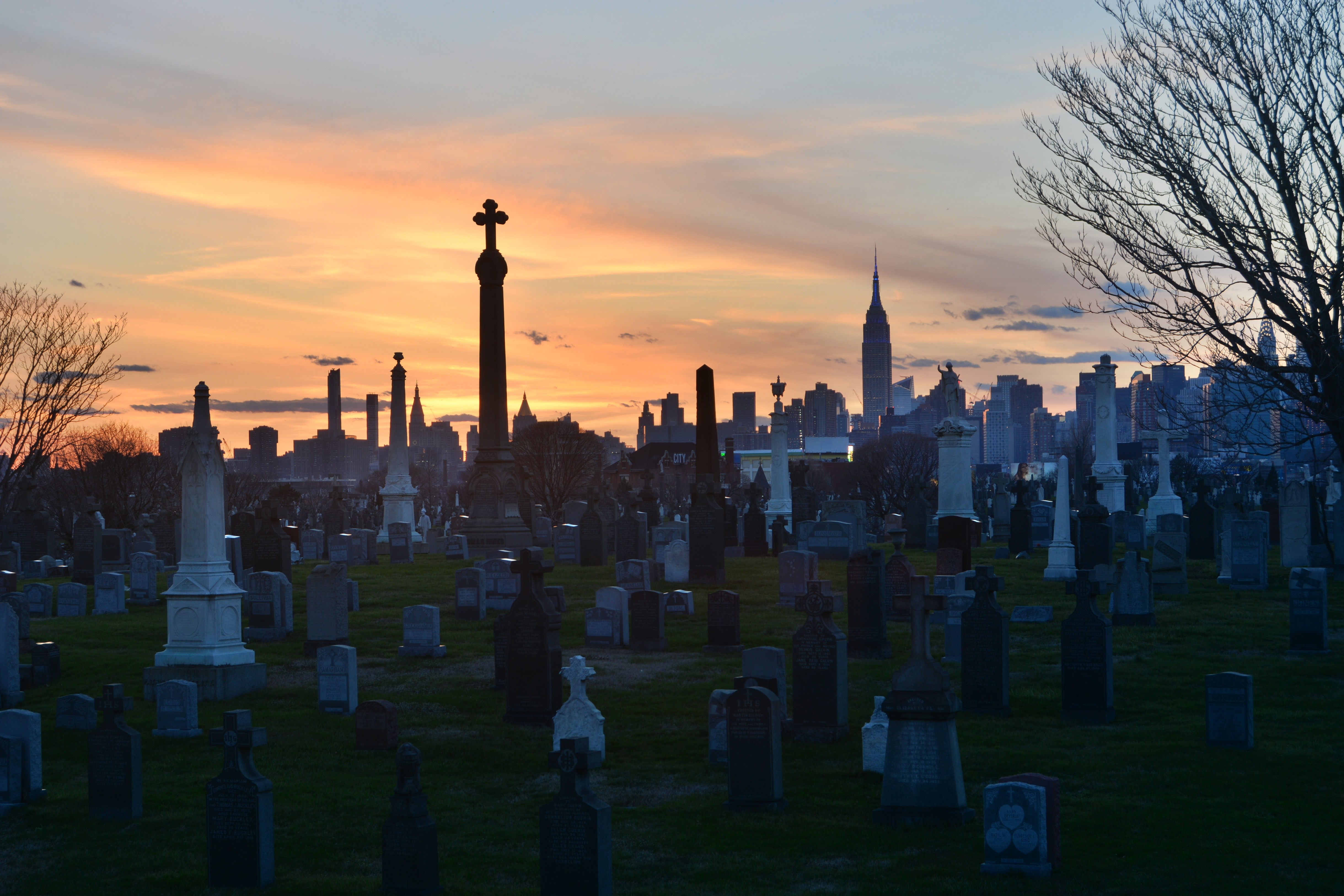 Calvary Cemetery Ny Records - w8b4u3m