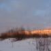 Пустырь в городе Череповец