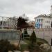 Орел в городе Минск