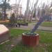 Цветник в виде книги с пером в городе Сочи