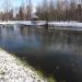 Декоративный пруд в городе Долгопрудный