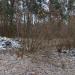 Свалка в городе Киев