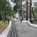 Лестница в городе Сочи