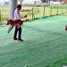 Jindo Dog Theme Park Obedience Exhibition Area