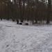 Лавочка в городе Киев