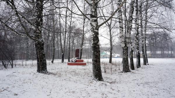 Памятник участникам Великой Отечественной войны   Соха image 5