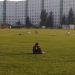 Футбольное поле в городе Москва