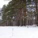 Волейбольная площадка в городе Коростень