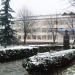 Квітник в місті Житомир