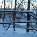 Лыжная стоянка «У синичек» в городе Архангельск