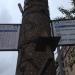 Автобусная остановка «10-я улица Соколиной Горы» в городе Москва