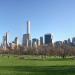 Sheep Meadow