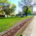 Pętla tramwajowa 