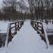 Пешеходный мост в городе Москва