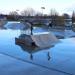 Skatepark in Rzeszów city