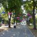 Парк „Рова“ in Видин city
