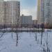 Хоккейная коробка в городе Москва