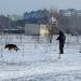 Создаваемый парк «Молодёжный» в городе Волгодонск