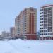 просп. Шинников, 25 в городе Нижнекамск
