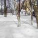 ул. Халтурина, 31 в городе Каменск-Шахтинский