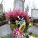 The grave of Savary family in Warsaw city