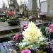 The grave of Savary family in Warsaw city