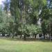 Soniachnyi mikroraion, 51 in Kryvyi Rih city