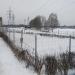 Площадка для выгула собак в городе Долгопрудный
