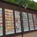 Выставка фотографий резных наличников России в городе Эстоcадок